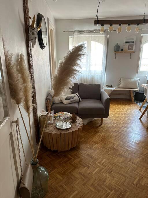 Appartement Carmes, Hypercentre Toulouse Exterior foto